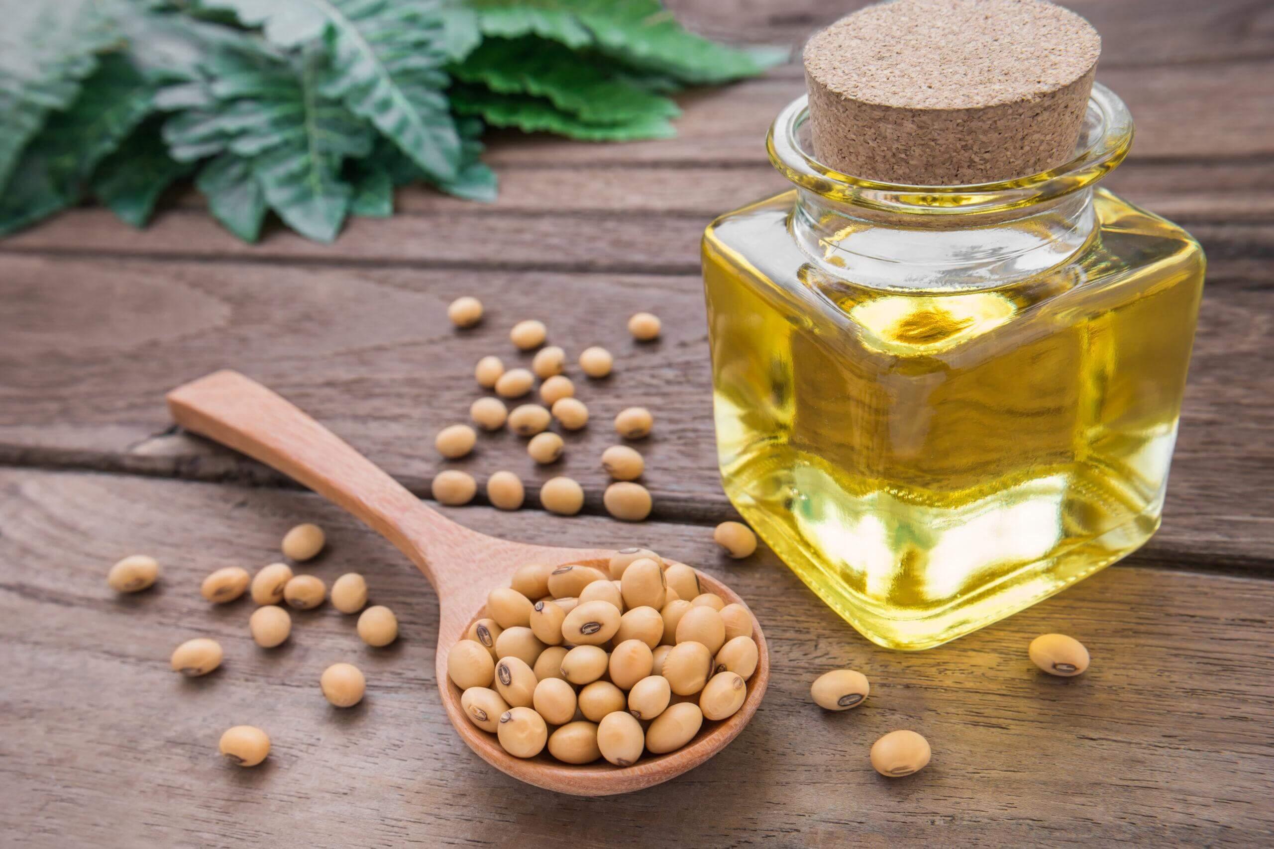 روغن سویا، روغن سرخ‌کردنی و روغن آفتابگردان؛ مقایسه کامل، مزایا، کاربردها و نکات مهم خرید