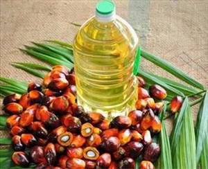 روغن پالم اوییل - تصفیه