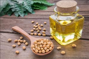 روغن سویا، روغن سرخ‌کردنی و روغن آفتابگردان؛ مقایسه کامل، مزایا، کاربردها و نکات مهم خرید