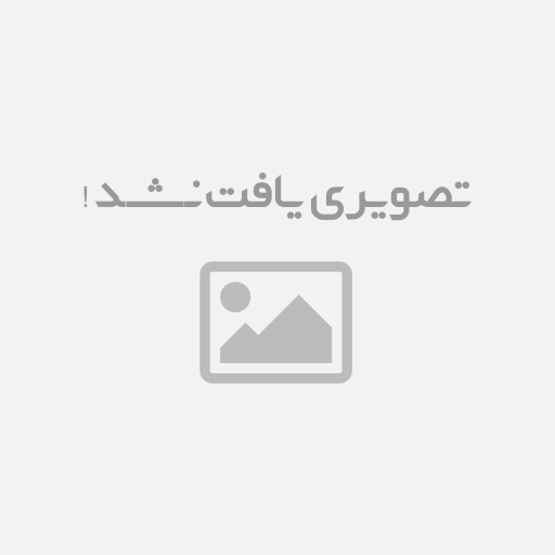 پت 810 روغن پخت و پز